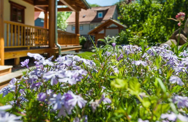 To Salamander No. 15a - Foto 16