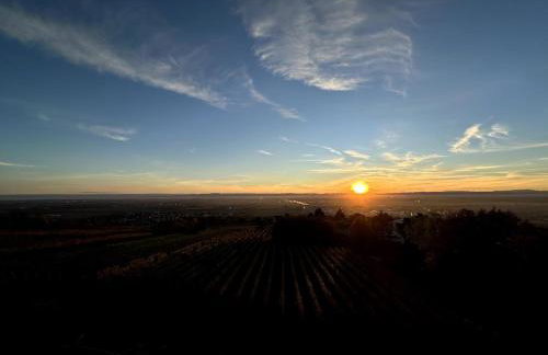 L'écrin d'Anne et Stéphane - vue sur Strasbourg - Foto 46