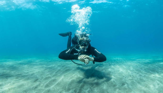 Scuba Diving in Abades - Foto 2