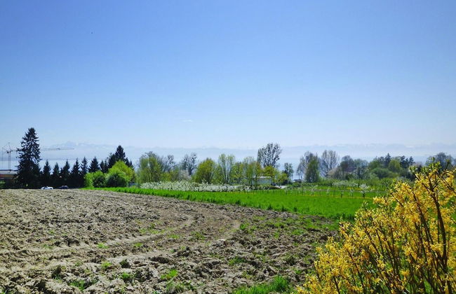 Holiday Park, Immenstaad - Foto 53