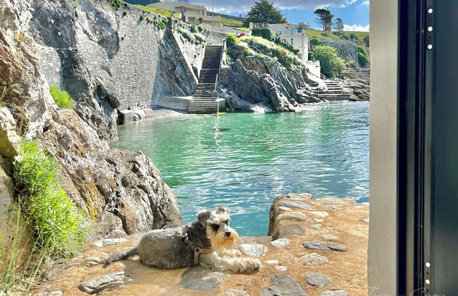 Seafront Cottage - Beach Access - Pet Friendly - Foto 15