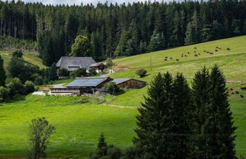 Lippenhof - Unter der Linde - Foto 25