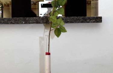 Casa las Dunas - Foto 12