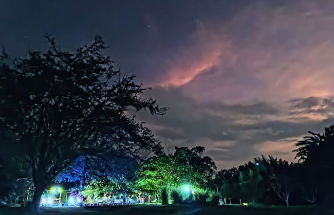 La Guarida - Photo 32