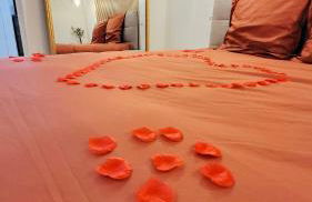 - LA SUITE DELOS - JACUZZI 2 PLACES - CENTRE VILLE A PIED - LIT QUEEN SIZE - PARKING PRIVÉE - WIFI - City Center within walking distance - - Foto 11