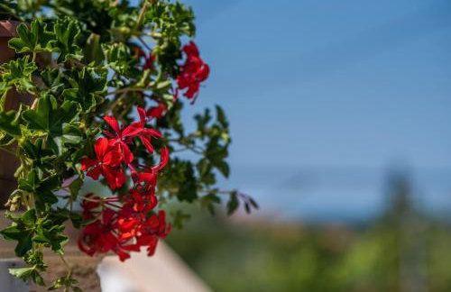 Apartments with a parking space Malinska (Krk) - 13219 - Foto 14