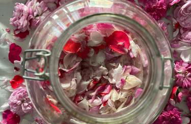 Casale Dionisia, Santa Maria di Castellabate - Foto 44