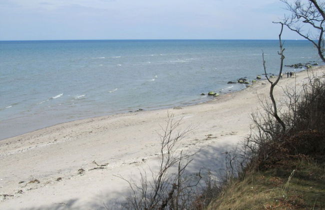 Bolliger 2 Modern Retreat - Foto 8