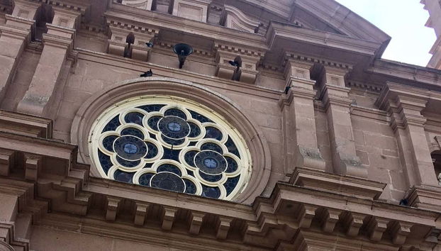 Tour privado por Tacna