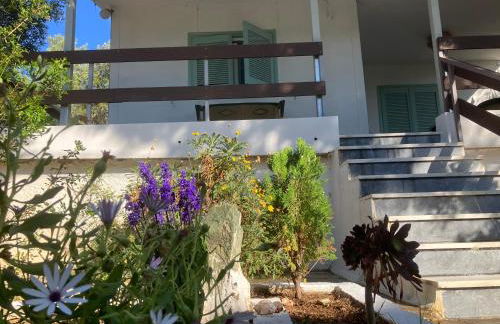 Kokos Traditional Family House - Foto 1