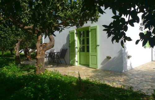 Phlea Farm Studios - Foto 3