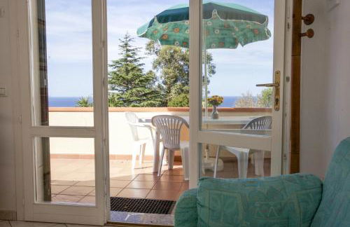 Bougainvillea Primo Piano - Goelba - Foto 8