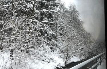 Waldhaus zur Kleinbahn - Foto 9