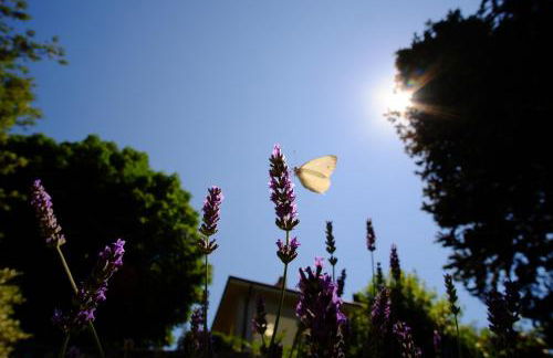 apartment monte, relax in the hills of Florence - Foto 24