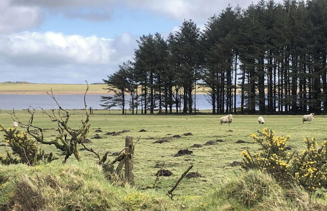 1 Bedroom Cabin Sleeps 2, Private Garden, Wifi - Foto 8