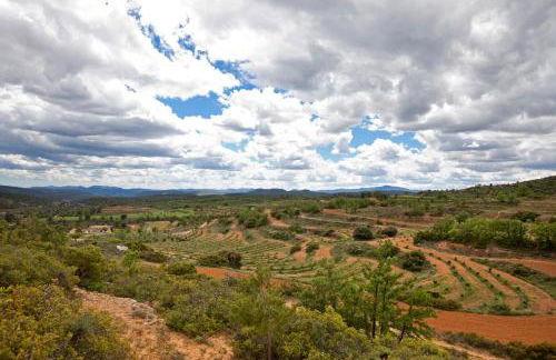 Mas de Leon - Foto 81