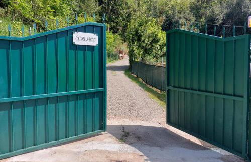 Villa la Pieve - Foto 59