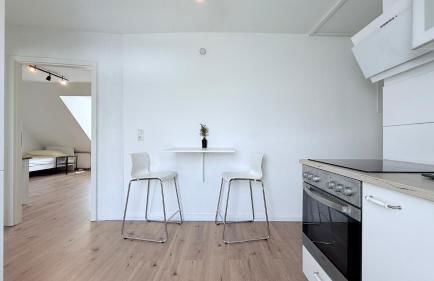 Zentrale Apartments in Rendsburg ideal für Monteure & Geschäftsreisende - Foto 43