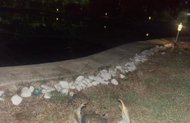 Porto Taipu - Foto 63