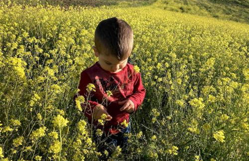 Atico Mirador del Piélago - Foto 30