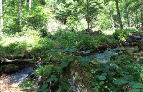 Le village caché - Foto 22