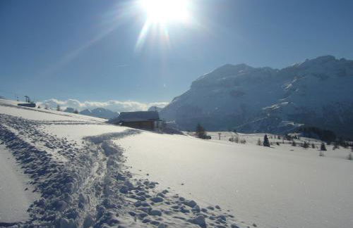 Residence Vajolet San Cassiano - Photo 45