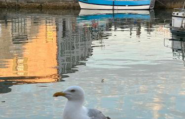 Vue sur le port - Foto 2