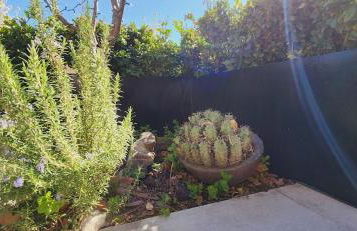 Tranquil Townhome in Downtown Neighborhood - Foto 16