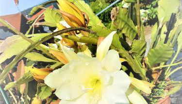 Ferienwohnung Baacke - Foto 5, Other