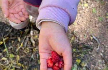 Cozy Cabin - Foto 30