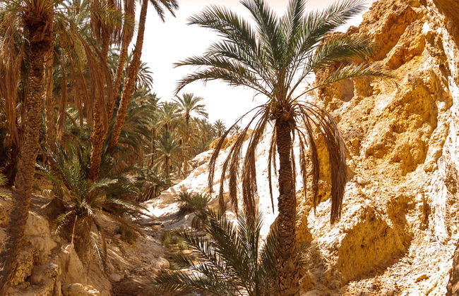 Excursión privada desde Tozeur - Foto 1