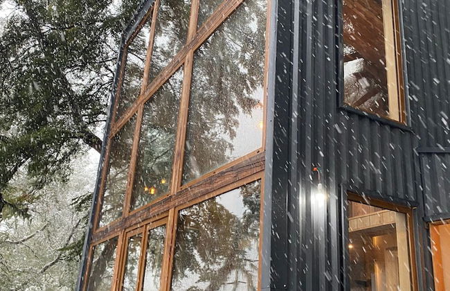 Rincon del Bosque - Foto 14