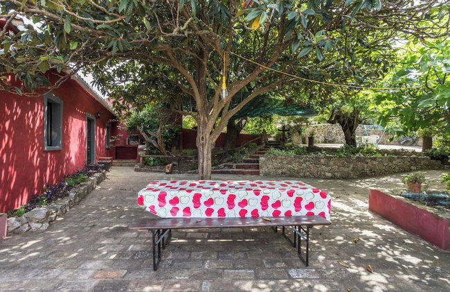 Casa Amoreira - Quinta Amoreira - Foto 44