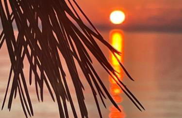 Appartement plage piscine et tennis inclus - Foto 48