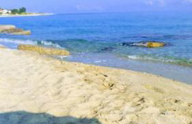 La casetta di Ulisse Minicasa per amici - Foto 71