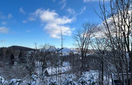 Blockhaus Kik im Harz - Foto 65