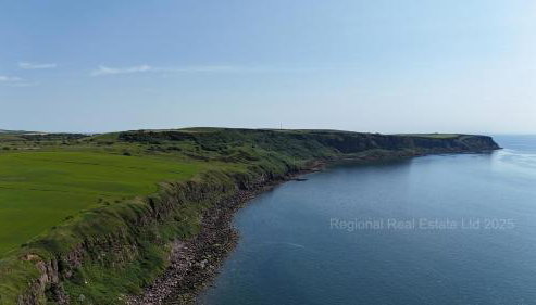Coastal Haven - Steps From Beach - Photo 2