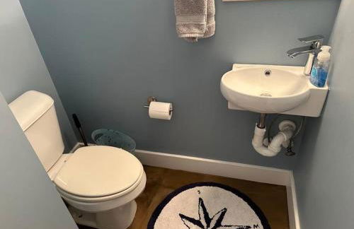 Blue Marlin - Foto 56