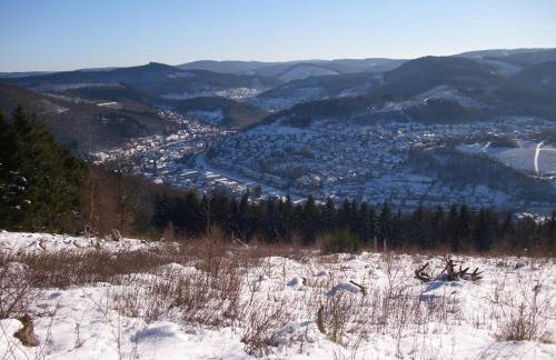 Ferienwohnungen Ingrid Alfes - Foto 36