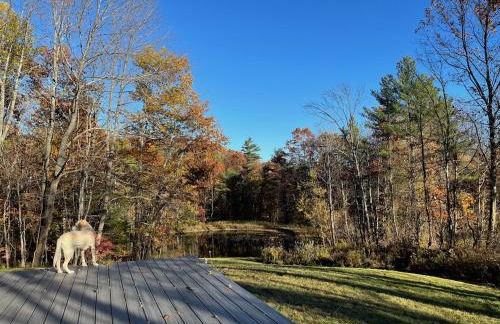 Not-so-tiny, Tranquil, Pond front Bungalow - Foto 14