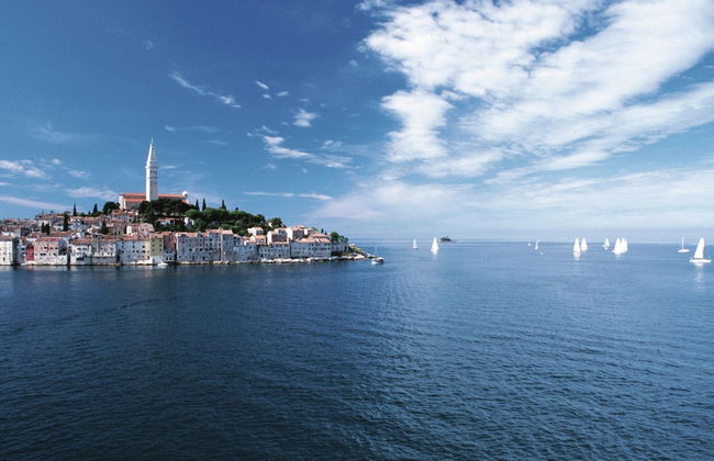 Villa in Baderna With Private Pool - Foto 46