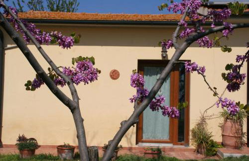 Agriturismo Diciocco - Foto 10