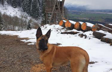 PeThe`s No 1 - Foto 40