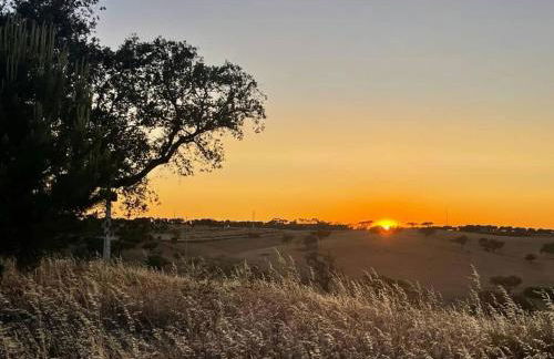 Monte Das 7 Oliveiras - Foto 73