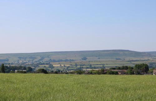 66 Dale Grove - Foto 37