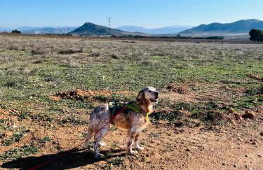 Casa El Rulón - Foto 22