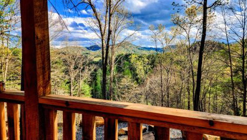 Luxury Mountain View Cabin Near Asheville NC - Foto 5