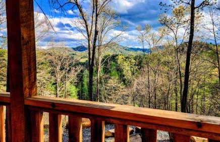Luxury Mountain View Cabin Near Asheville NC - Foto 5