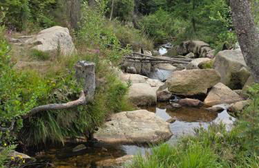 Modernes Harz Studio Apartment Ferienwohnung über den Baumspitzen - Foto 29