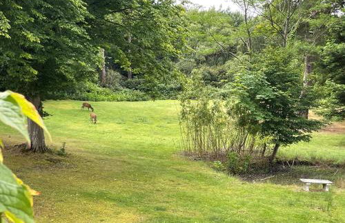 Deer Leap House - Photo 74